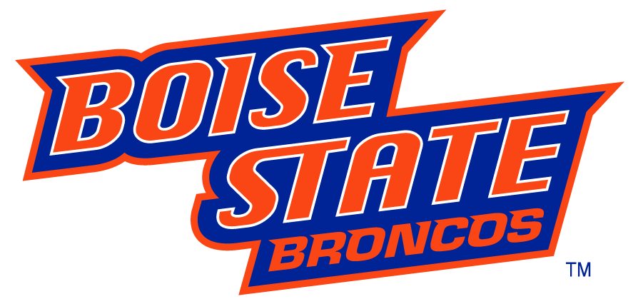 Boise State Broncos 2002-2012 Wordmark Logo v4 diy iron on heat transfer